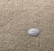 Ковролин Vorwerk Superior 1065/Viola Vorwerk 8h50 фото 1 | FLOORDEALER